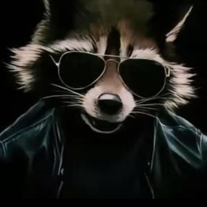 Meet your Posher, Dmitro